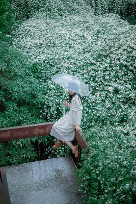 大地资源二中文免费第二页